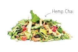 Dutch Harvest hemp tea hemp chai