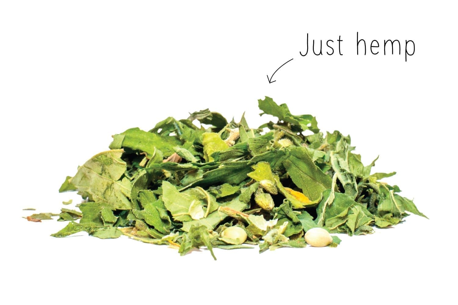 Dutch Harvest Hanftee einfach nur Hanf