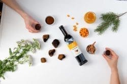 Chaga Health Elixir with Sea Buckthorn Berries