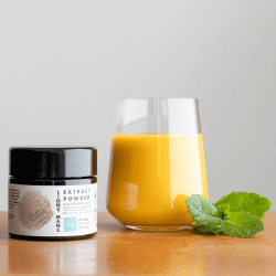 Lions Mane Mushroom Extract Powder