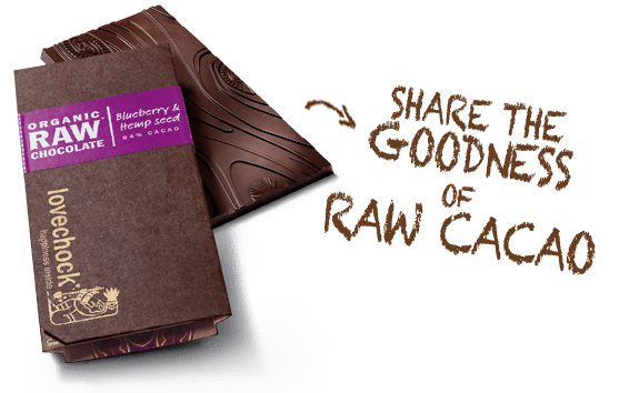 Tablette Lovechock bleuet graines de chanvre