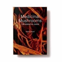 Medicinal Mushrooms Essential Guide door Martin Powell (Engelstalig)
