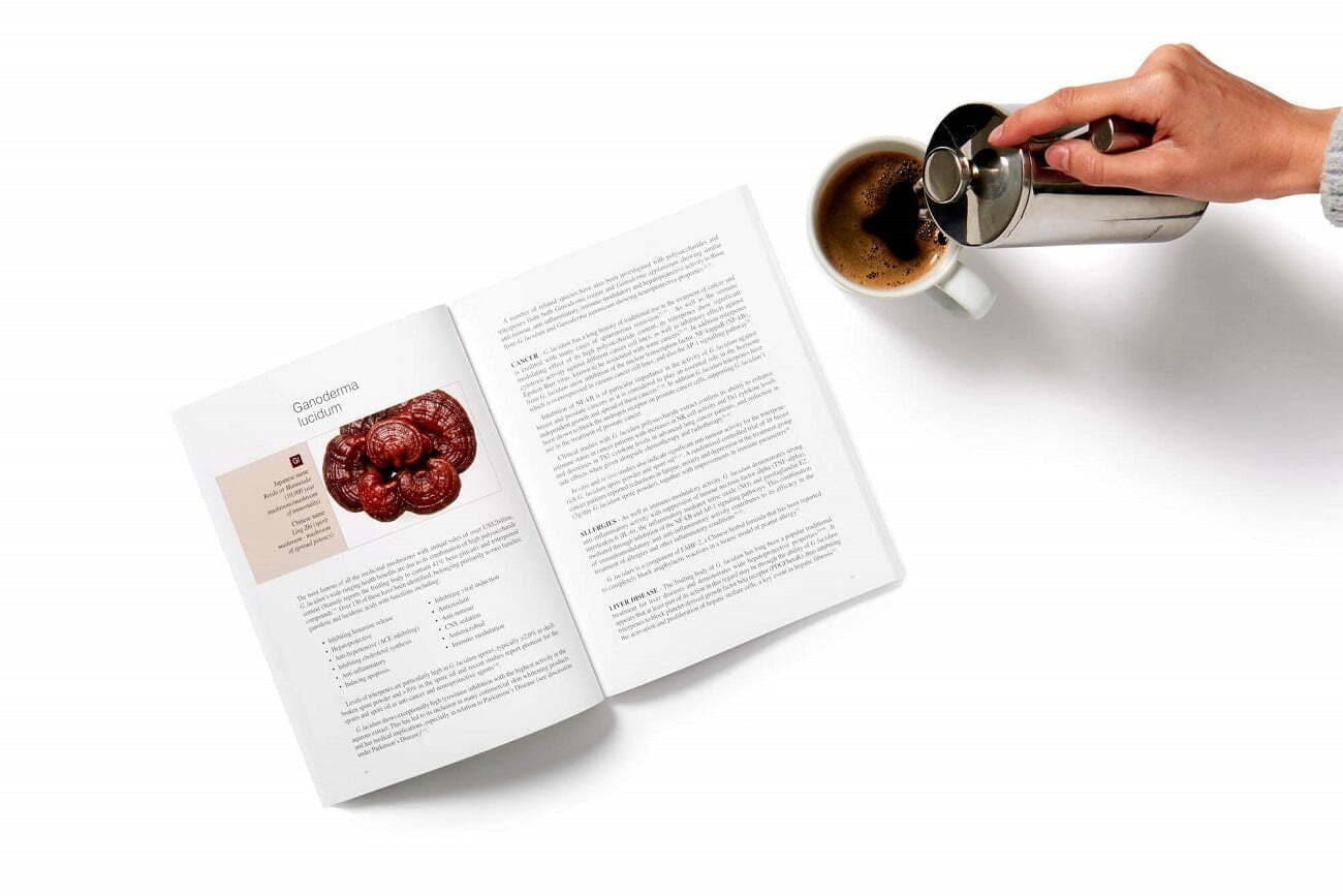 Champignons Life Reishi café