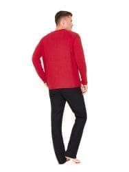 Herrenhosen Chino Hanf