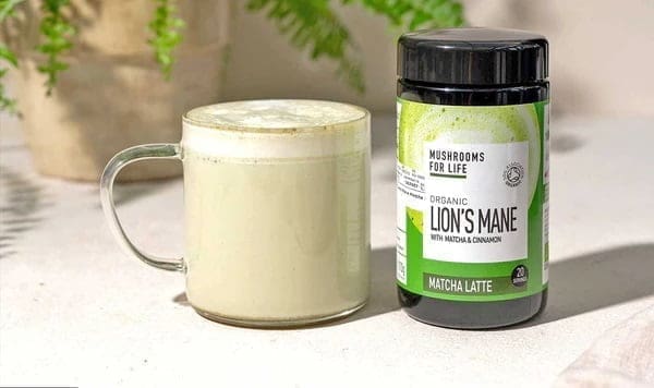 lion s mane matcha latte organic organic mushrooms for life