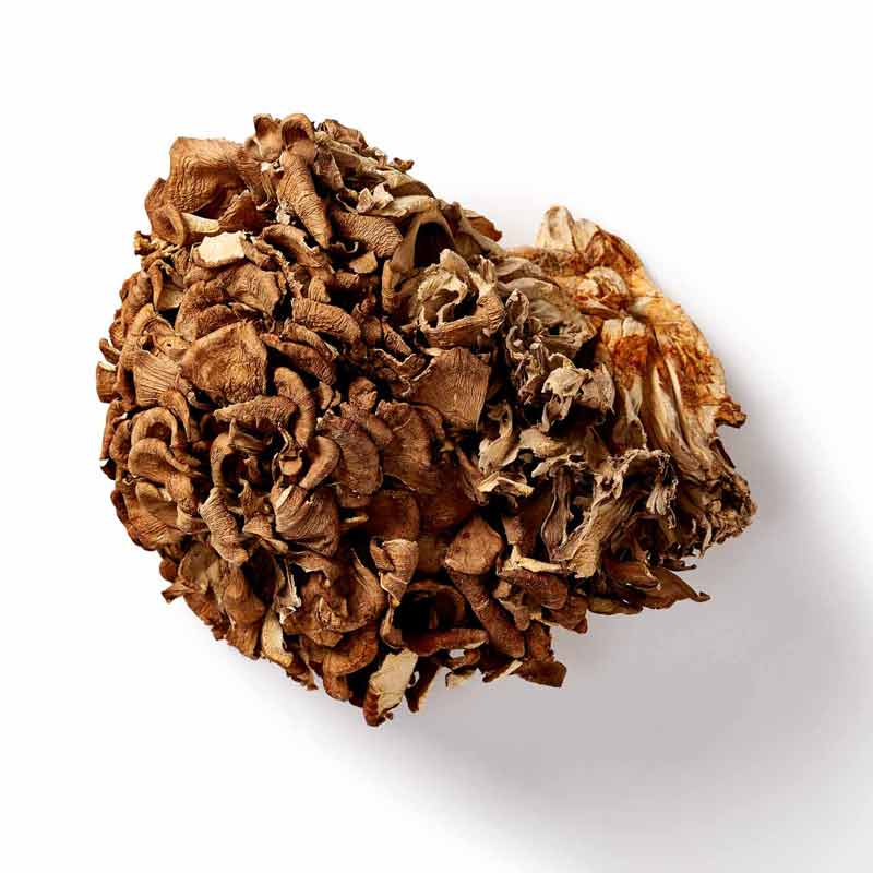 maitake paddenstoel biologisch mushrooms life