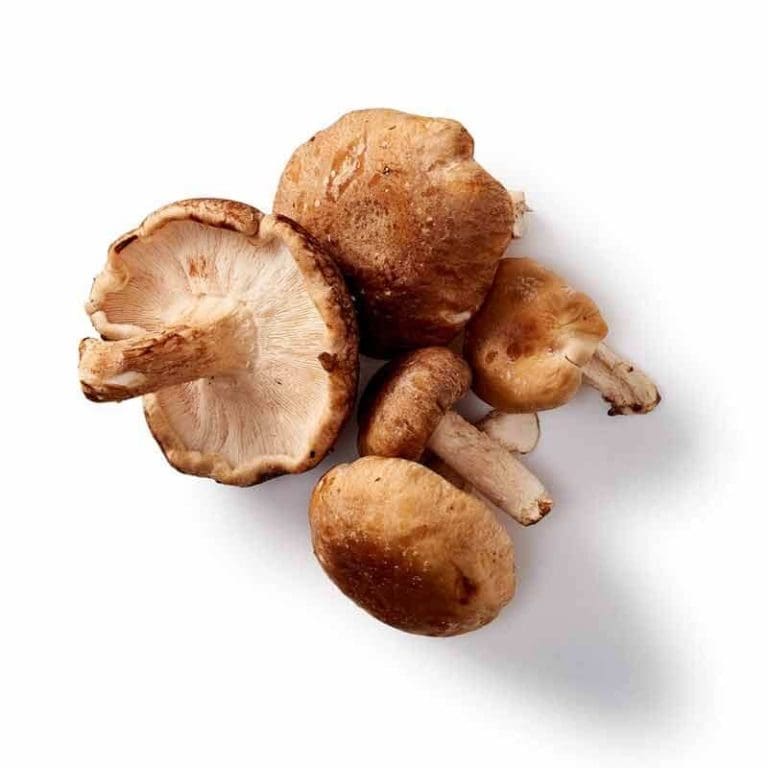 Compléments alimentaires à base de champignons médicinaux