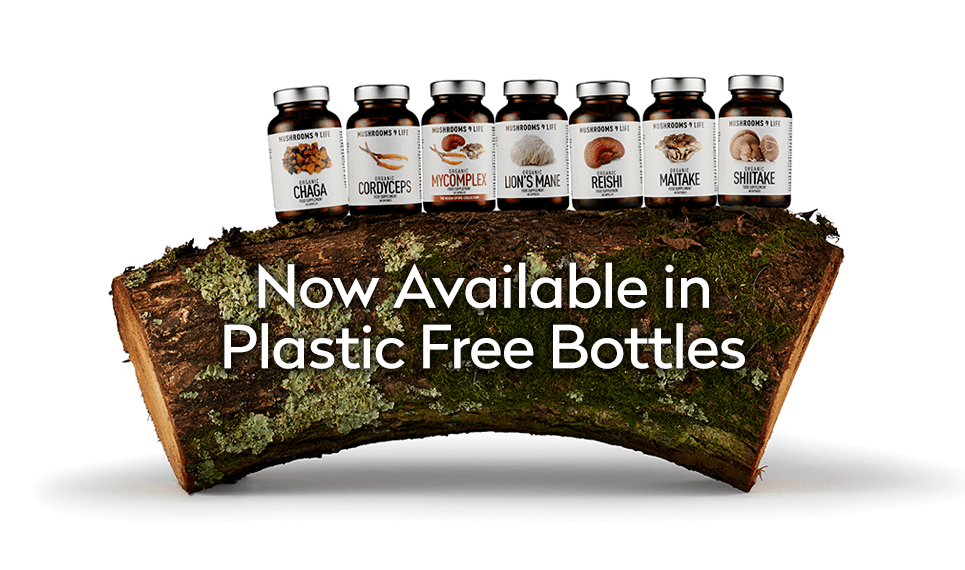 mushrooms4life paddenstoelen capsules poeders